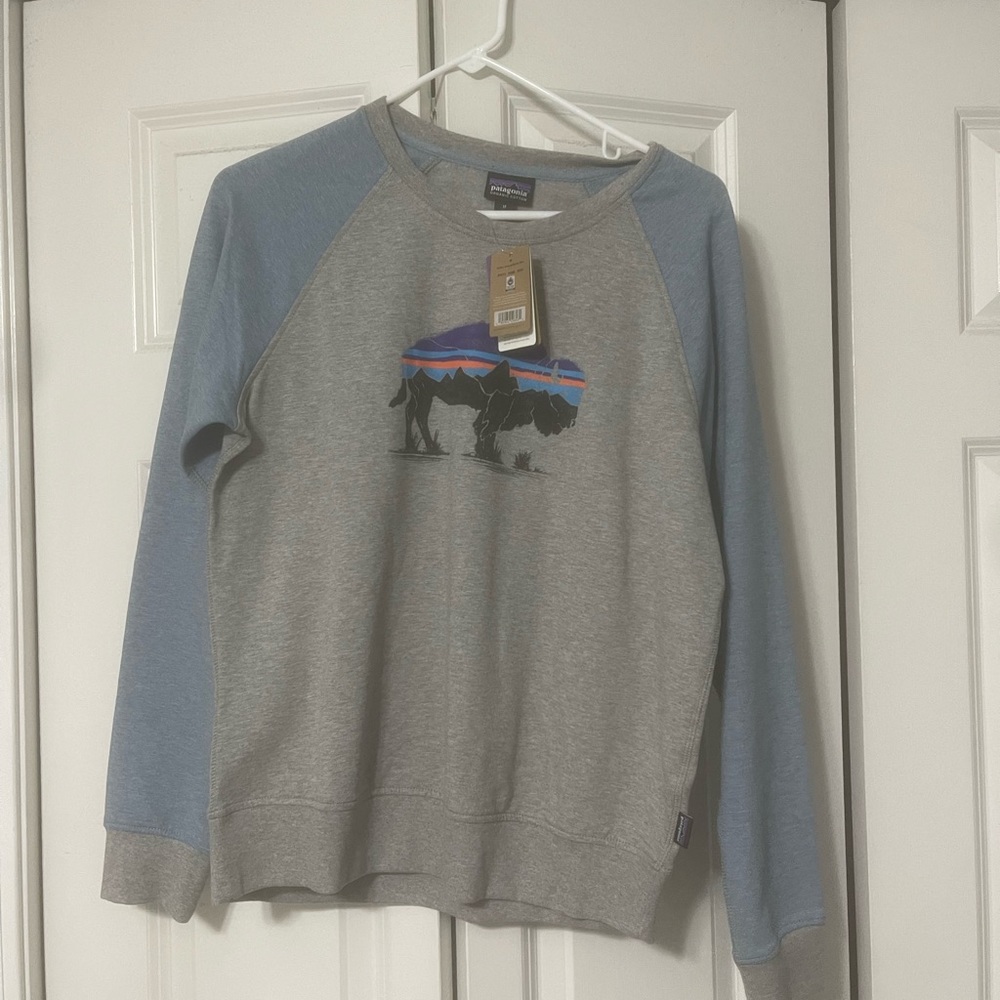 Patagonia long sleeve; thick; size M; never worn; tags still on